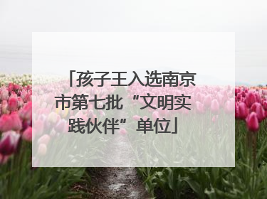 孩子王入选南京市第七批“文明实践伙伴”单位