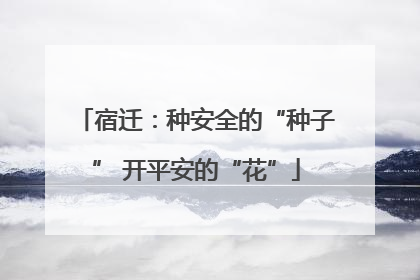 宿迁：种安全的“种子” 开平安的“花”