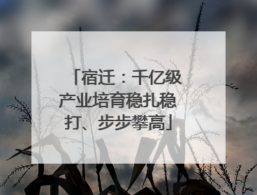 宿迁：千亿级产业培育稳扎稳打、步步攀高