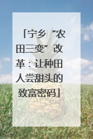 宁乡“农田三变”改革：让种田人尝甜头的致富密码
