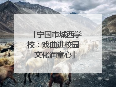 宁国市城西学校：戏曲进校园 文化润童心