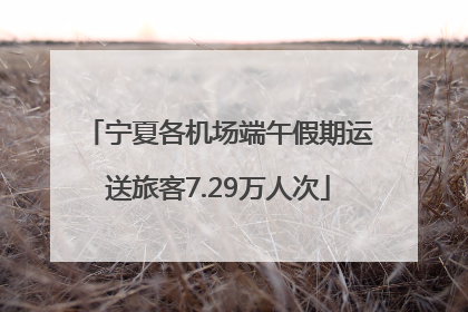宁夏各机场端午假期运送旅客7.29万人次