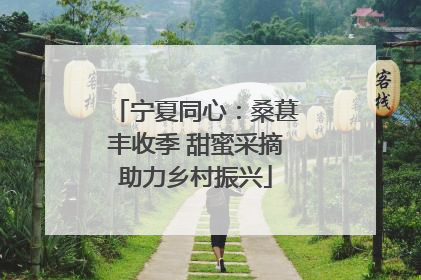 宁夏同心：桑葚丰收季 甜蜜采摘助力乡村振兴