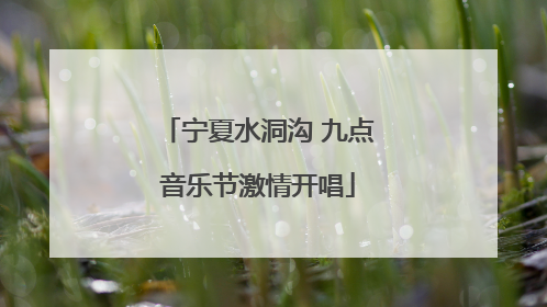 宁夏水洞沟 九点音乐节激情开唱
