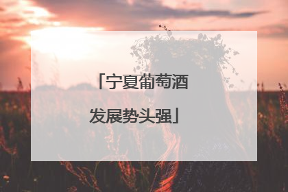 宁夏葡萄酒发展势头强