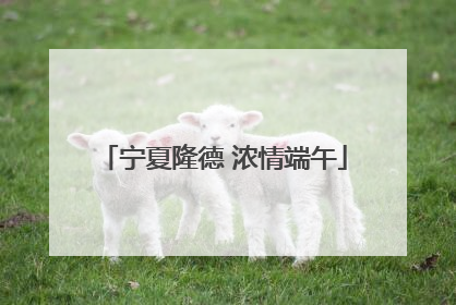 宁夏隆德 浓情端午