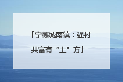 宁德城南镇：强村共富有“土”方