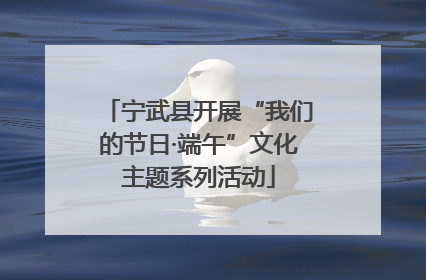 宁武县开展“我们的节日·端午”文化主题系列活动