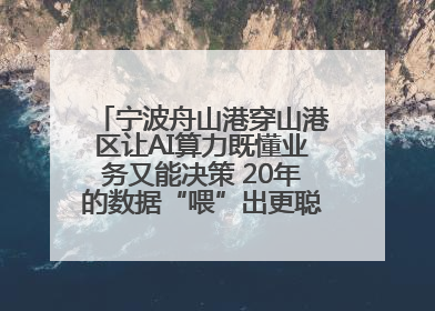 宁波舟山港穿山港区让AI算力既懂业务又能决策 20年的数据“喂”出更聪明的港口