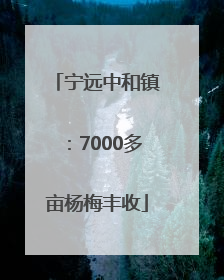 宁远中和镇：7000多亩杨梅丰收