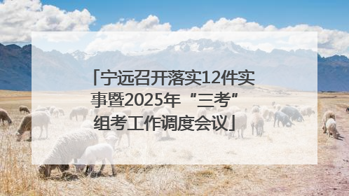 宁远召开落实12件实事暨2025年“三考”组考工作调度会议