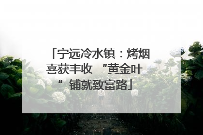 宁远冷水镇：烤烟喜获丰收 “黄金叶”铺就致富路