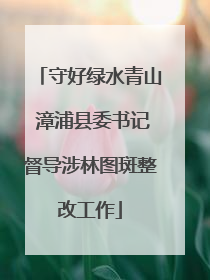 守好绿水青山 漳浦县委书记督导涉林图斑整改工作