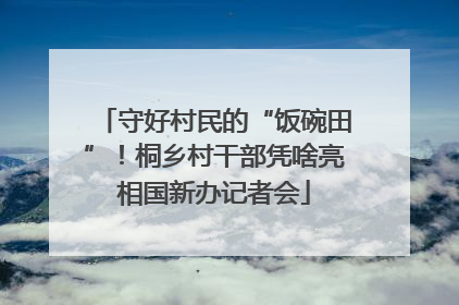 守好村民的“饭碗田”！桐乡村干部凭啥亮相国新办记者会