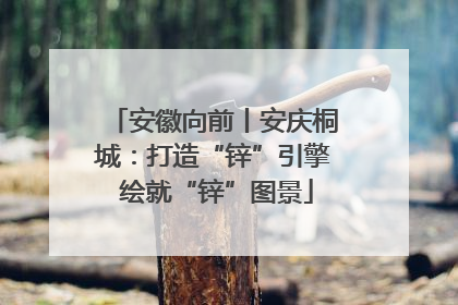 安徽向前丨安庆桐城：打造“锌”引擎 绘就“锌”图景
