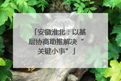 安徽淮北：以基层协商助推解决“关键小事”