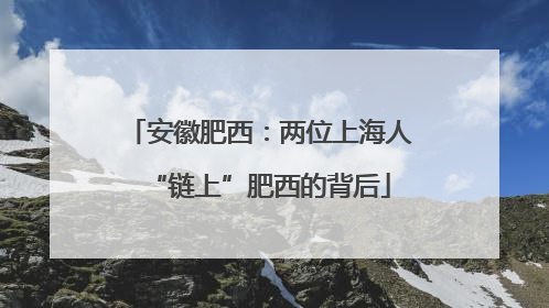 安徽肥西：两位上海人“链上”肥西的背后