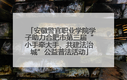 安徽警官职业学院学子助力合肥市第三届“小手牵大手、共建法治城”公益普法活动