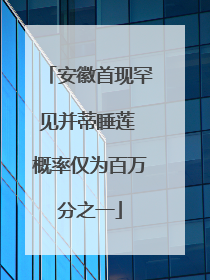 安徽首现罕见并蒂睡莲 概率仅为百万分之一