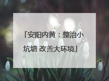 安阳内黄：整治小坑塘 改善大环境