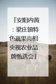 安阳内黄：梁庄镇特色蔬果亮相央视农业品牌甄选会