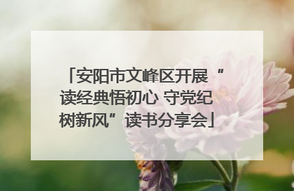 安阳市文峰区开展“读经典悟初心 守党纪树新风”读书分享会
