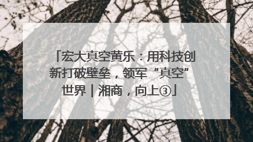 宏大真空黄乐：用科技创新打破壁垒，领军“真空”世界｜湘商，向上③