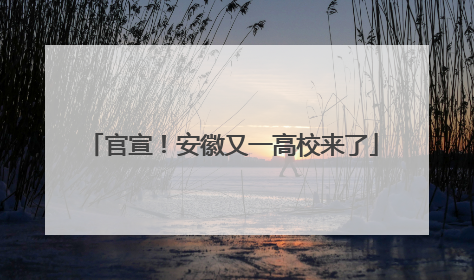官宣！安徽又一高校来了