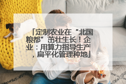 定制农业在“北国粮都”茁壮生长！企业：用算力指导生产，扁平化管理种地
