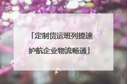 定制货运班列提速 护航企业物流畅通