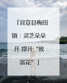 宜章县梅田镇：灵芝朵朵开 撑开“致富花”