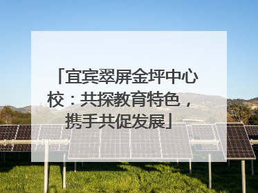 宜宾翠屏金坪中心校：共探教育特色，携手共促发展
