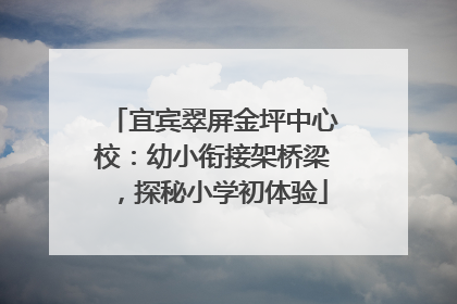 宜宾翠屏金坪中心校：幼小衔接架桥梁，探秘小学初体验