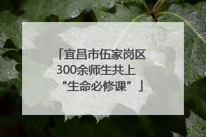 宜昌市伍家岗区300余师生共上“生命必修课”