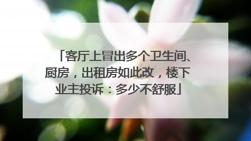 客厅上冒出多个卫生间、厨房，出租房如此改，楼下业主投诉：多少不舒服