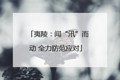 夷陵：闻“汛”而动 全力防范应对