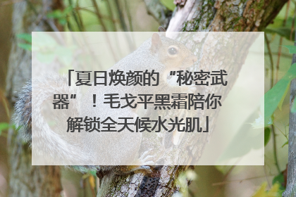 夏日焕颜的“秘密武器”！毛戈平黑霜陪你解锁全天候水光肌