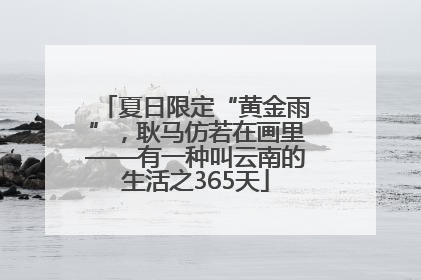 夏日限定“黄金雨”，耿马仿若在画里——有一种叫云南的生活之365天