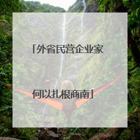 外省民营企业家何以扎根商南