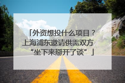 外资想投什么项目？上海浦东邀请供需双方“坐下来掰开了谈”