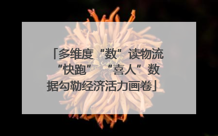 多维度“数”读物流“快跑” “喜人”数据勾勒经济活力画卷