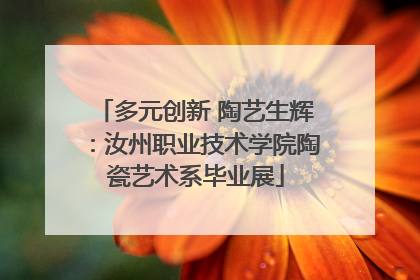多元创新 陶艺生辉：汝州职业技术学院陶瓷艺术系毕业展