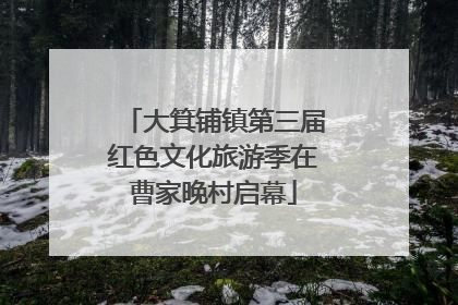大箕铺镇第三届红色文化旅游季在曹家晚村启幕