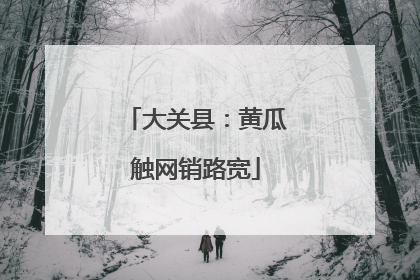 大关县：黄瓜触网销路宽
