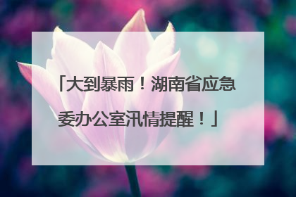 大到暴雨！湖南省应急委办公室汛情提醒！