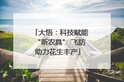 大悟：科技赋能“新农具” 飞防助力花生丰产