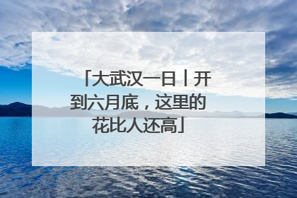 大武汉一日︱开到六月底，这里的花比人还高