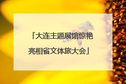 大连主题展馆惊艳亮相省文体旅大会