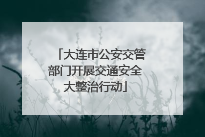 大连市公安交管部门开展交通安全大整治行动