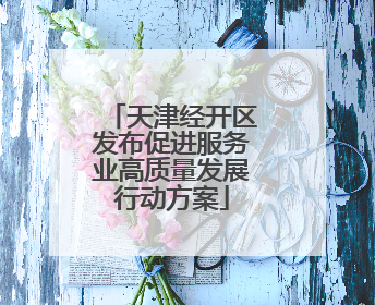 天津经开区发布促进服务业高质量发展行动方案